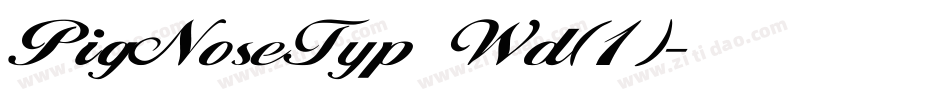 PigNoseTyp Wd(1)字体转换